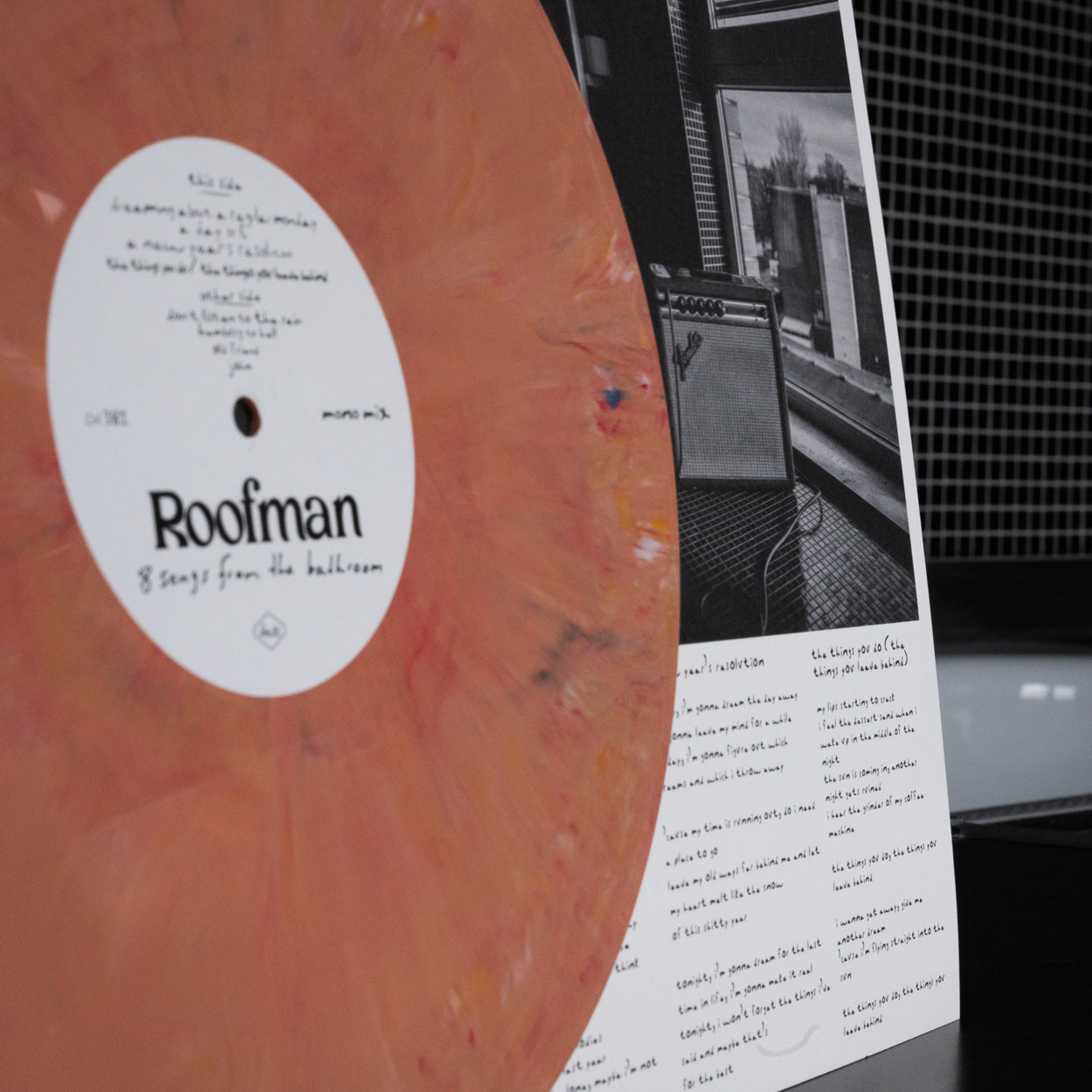 Roofman - 8 songs from the bathroom - 12"